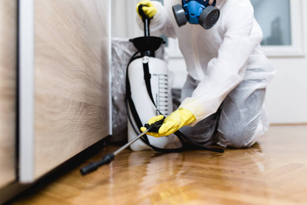Best Rat Extermination Near Me  in Exeter, CA