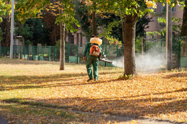 Best Cockroach Control Services  in Exeter, CA