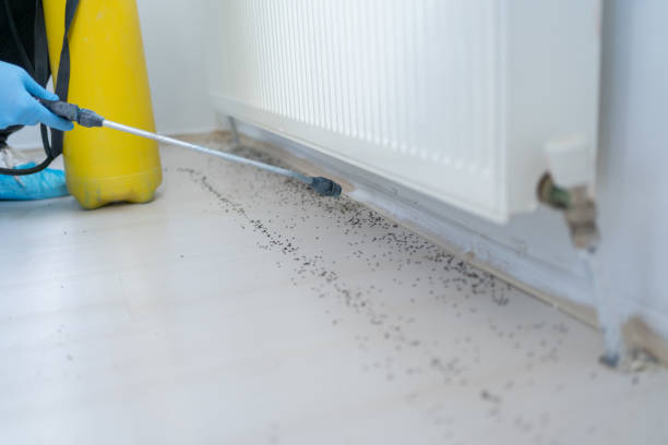 Best Pest Prevention Services  in Exeter, CA