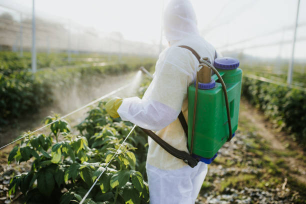Best Commercial Pest Control Services  in Exeter, CA